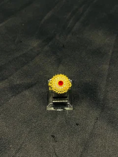 24K Gold Polish adjustable Ring in Maroon Stone view 1