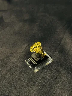 24K Gold Polish adjustable Ring  view 2