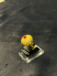 24K Gold Polish adjustable Ring in Maroon Stone view 3