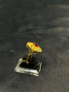 24K Gold Polish adjustable Ring in Maroon Stone view 2