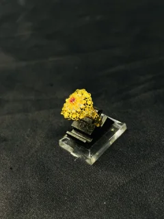 24K Gold Polish adjustable Ring in Maroon Stone view 2